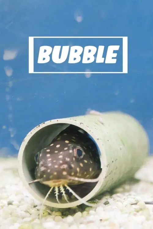 Bubble