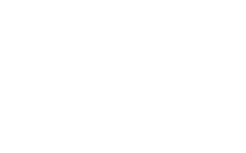 Rehab Addict Rescue