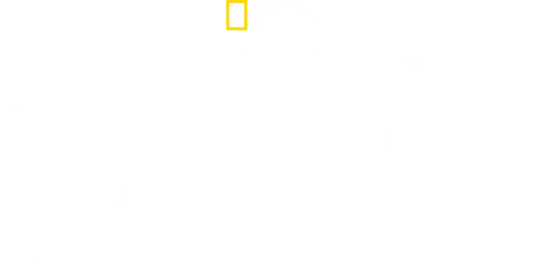 Bloody Tales of the Tower