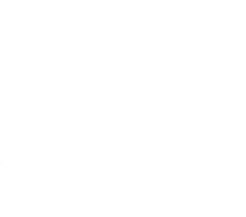 Five Nights in Maine