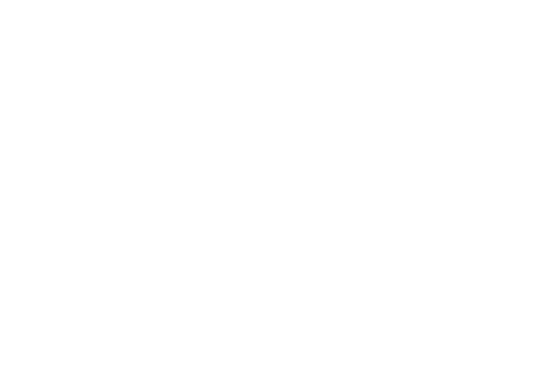 Mike Tyson Mysteries