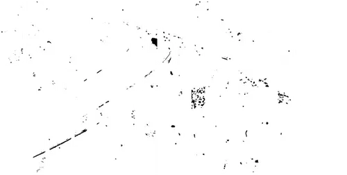 One Night Stand Murder