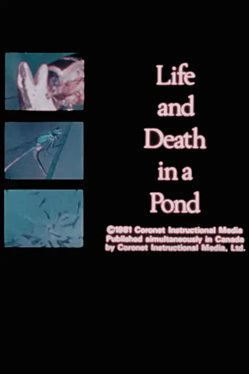 Life and Death in A Pond