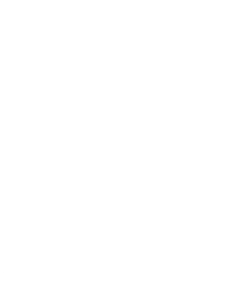 Blues Brothers 2000