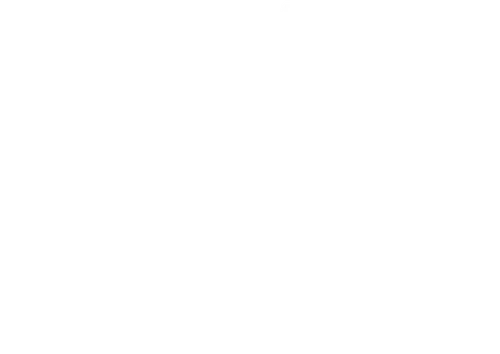 Born Racer