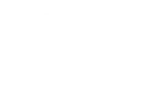 The Beautiful Lie