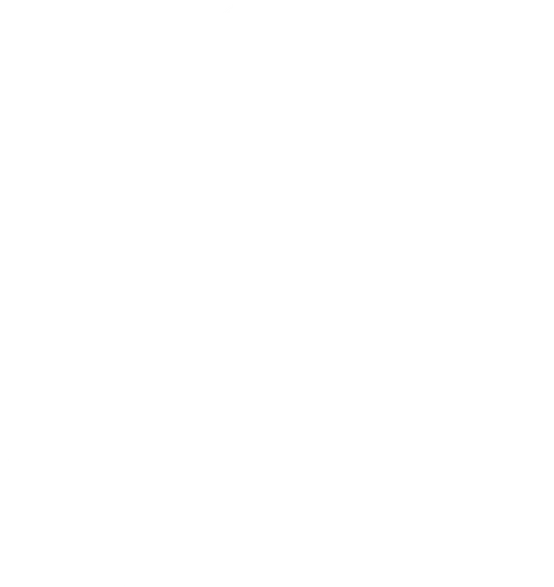 A Tale of Two Critters