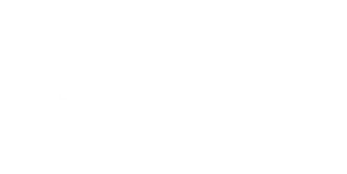 The Horses of McBride