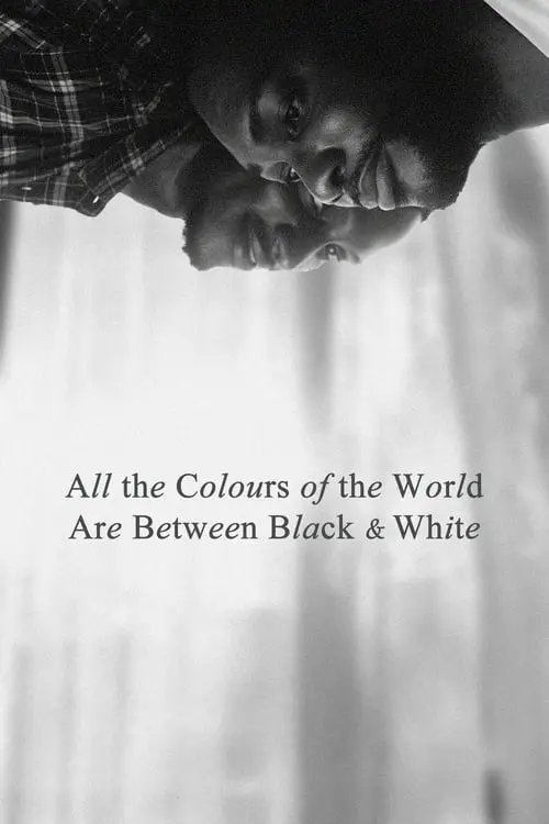 All the Colours of the World Are Between Black and White