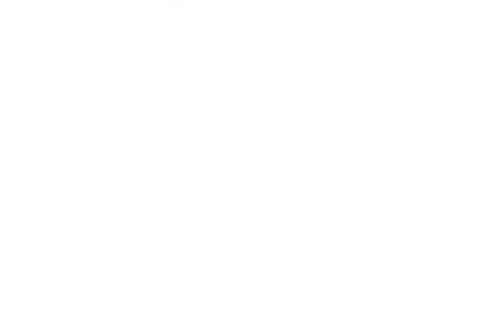 Mafia Spies