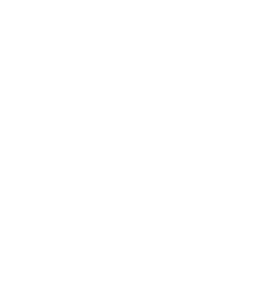 The Cable Guy