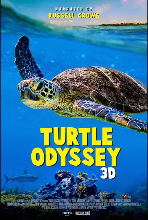 Turtle Odyssey