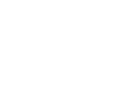 Blind Fury