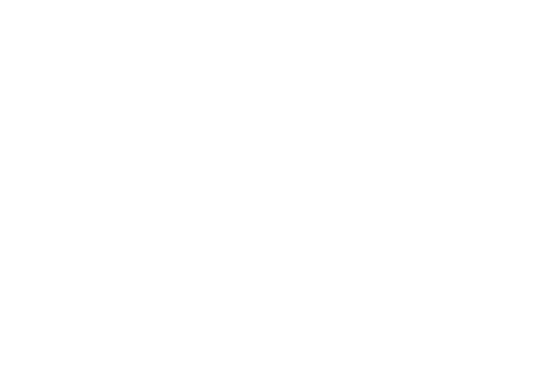 Buffy the Vampire Slayer