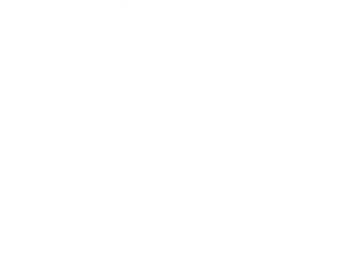 Kiss the Ground