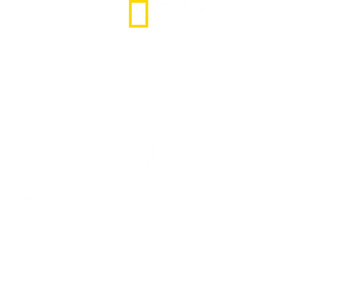 Das Reich: Hitler's Death Squads