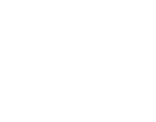 Three Little Pigs