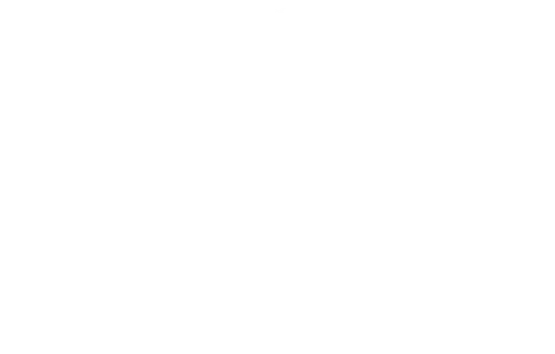 The Bookshop