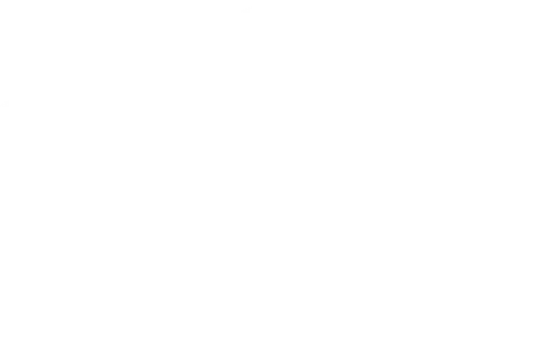 Desert Flippers