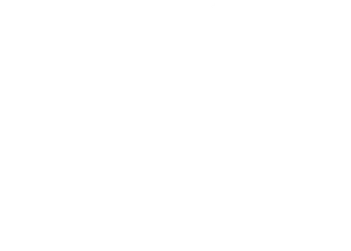 My Big Fat Greek Wedding