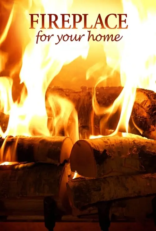 Fireplace 4K: Crackling Birchwood from Fireplace for Your Home