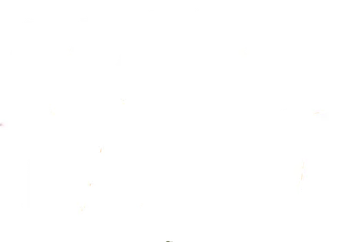 Man Hunt