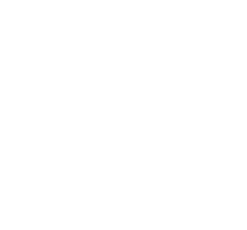 The Godfather Part II