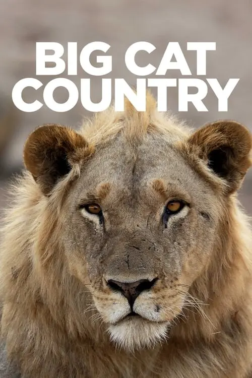 Big Cat Country