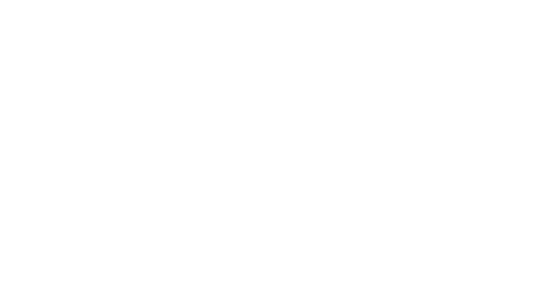 The Fast and the Furious