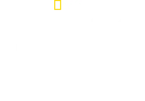 Drugs, Inc.