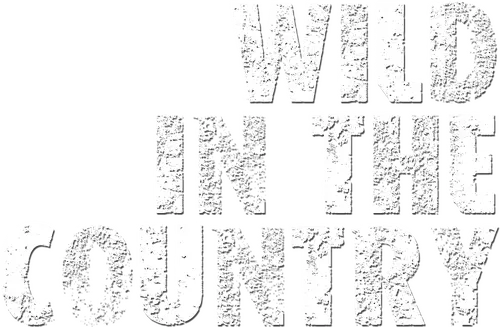 Wild in the Country