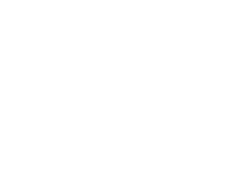 The Ultimate Braai Master