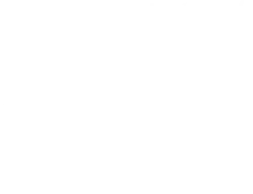 Macon County Line