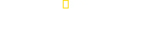 Nazi Megastructures