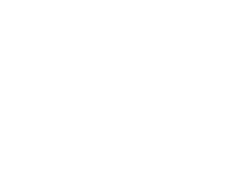 Ashes of Love