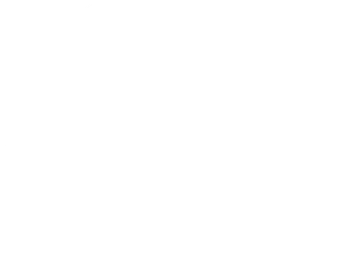 Beautiful Creatures