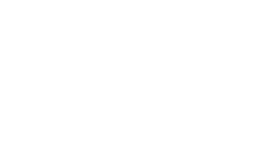 Sister Swap: Christmas in the City