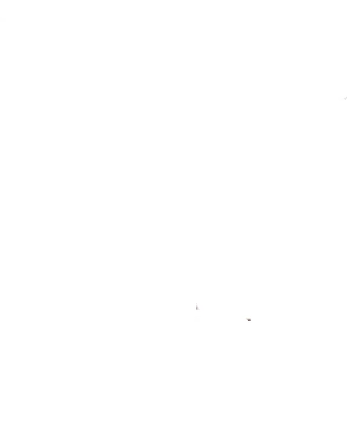 Voyage to the Bottom of the Sea