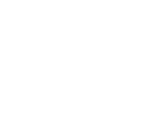 AMAIM Warrior at the Borderline