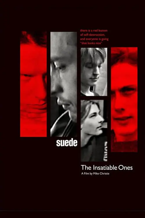 Suede: The Insatiable Ones