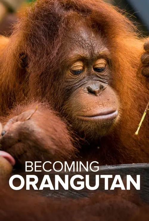 Becoming Orangutan