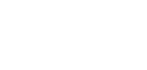 The Velveteen Rabbit