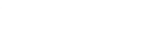 Bronx Zoo '90: Crime, Chaos and Baseball