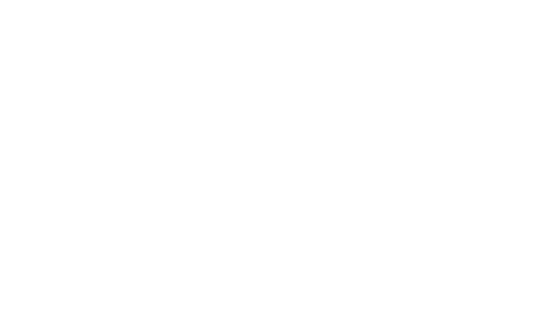 Who Killed Robert Wone?