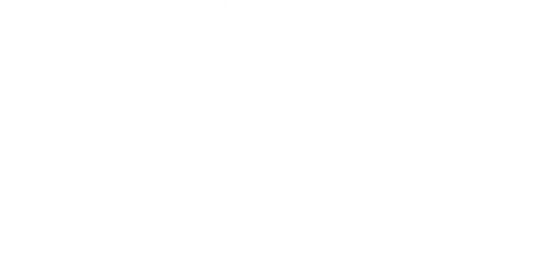 The Cleaning Lady