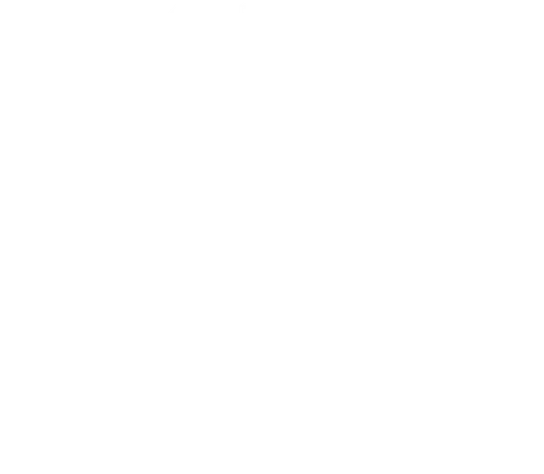 Flower Girl