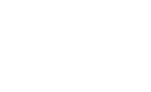 Rebel Without a Cause