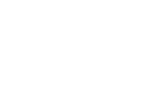 Fantastic Lies