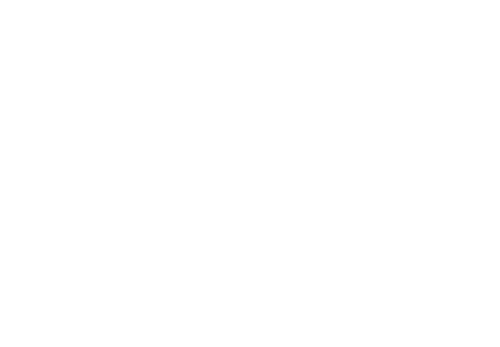 Bad Boys