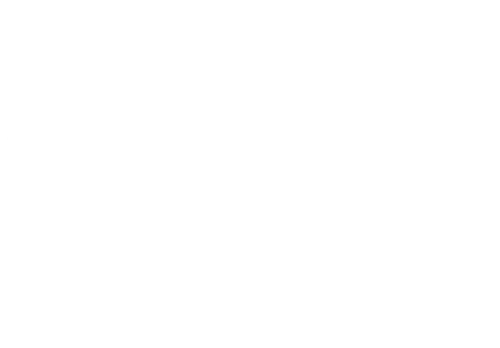 Storm Boy